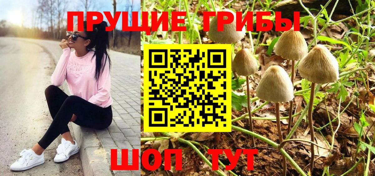 Галлюциногенные грибы мухоморы  Вход с VPN  Всеволожск 